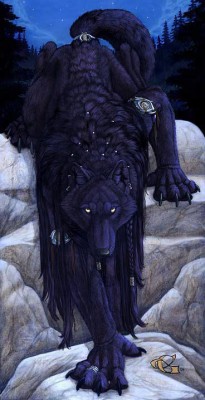 017(1).jpg (200.58 Kio) Vu 489 fois 017(1).jpg